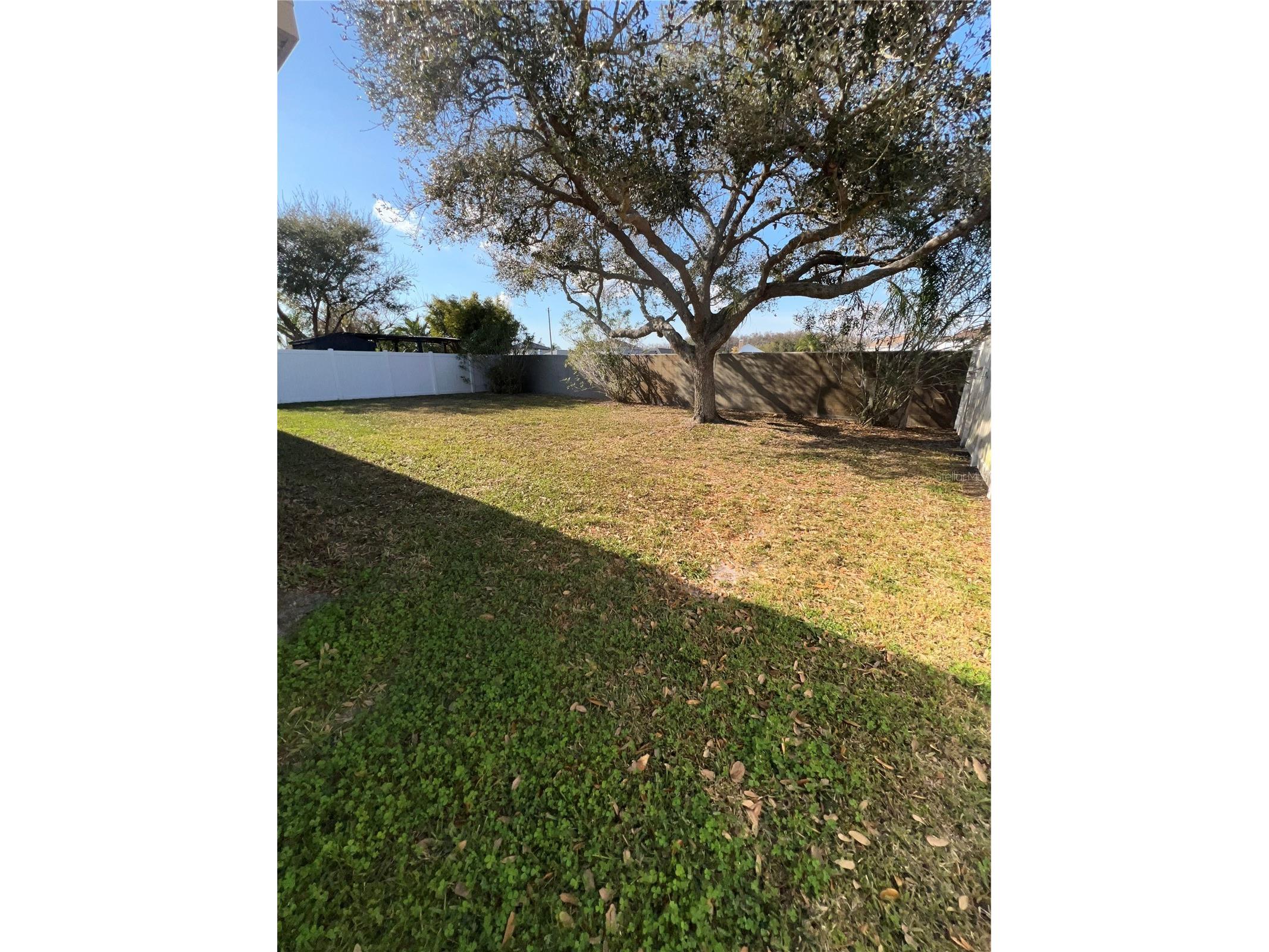 387 Tavernier Circle Oldsmar FL 34677 TB8480272 image54