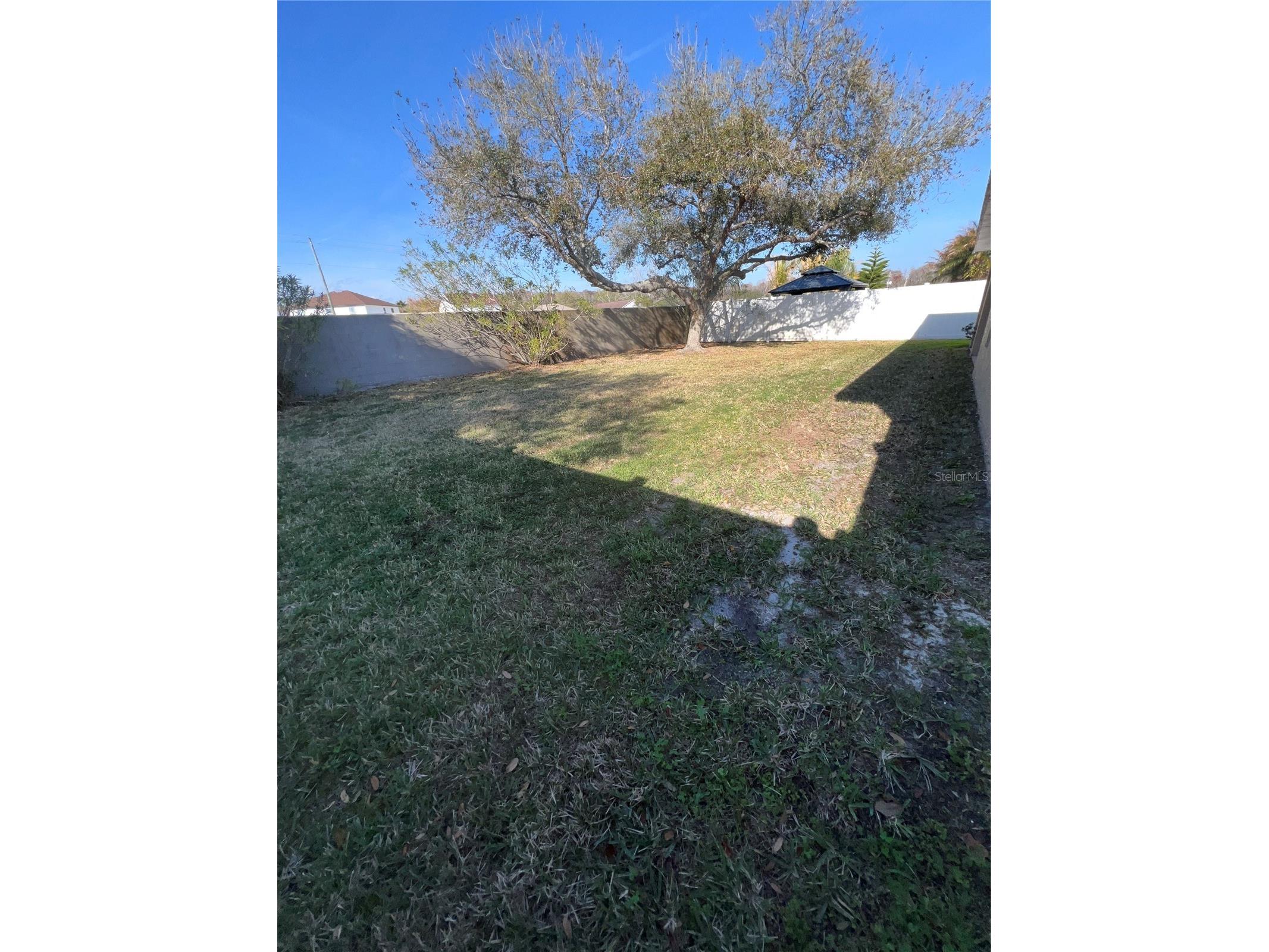 387 Tavernier Circle Oldsmar FL 34677 TB8480272 image55