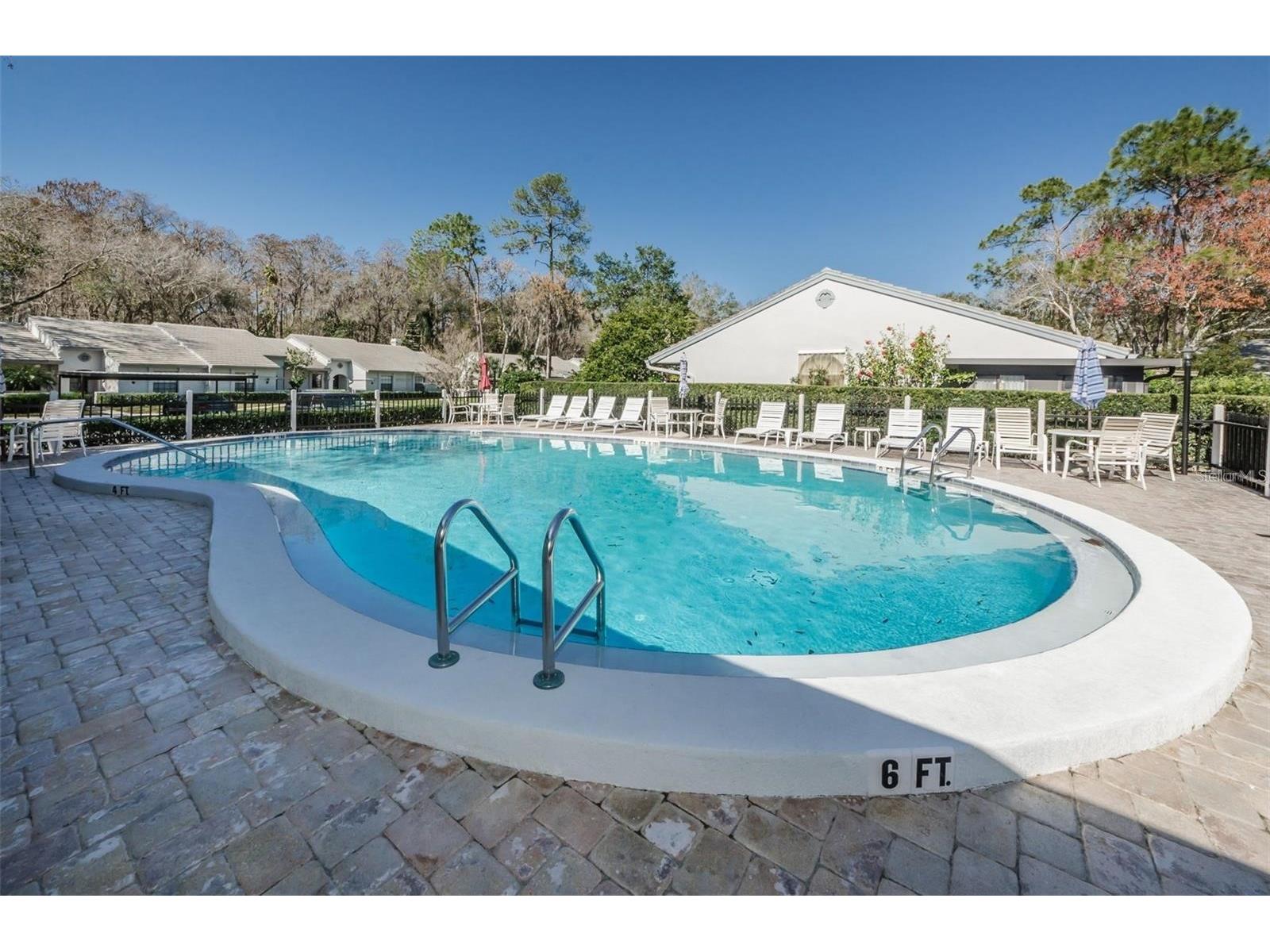 3870 Pheasant Court Palm Harbor FL 34685 TB8468454 image35