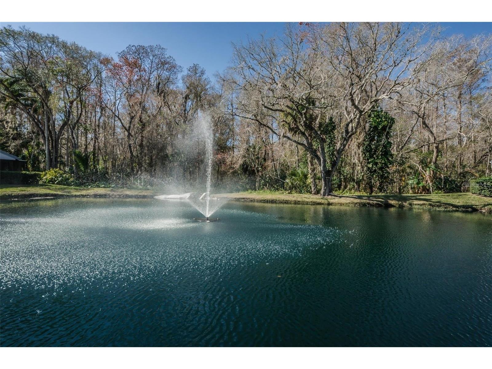 3870 Pheasant Court Palm Harbor FL 34685 TB8468454 image38