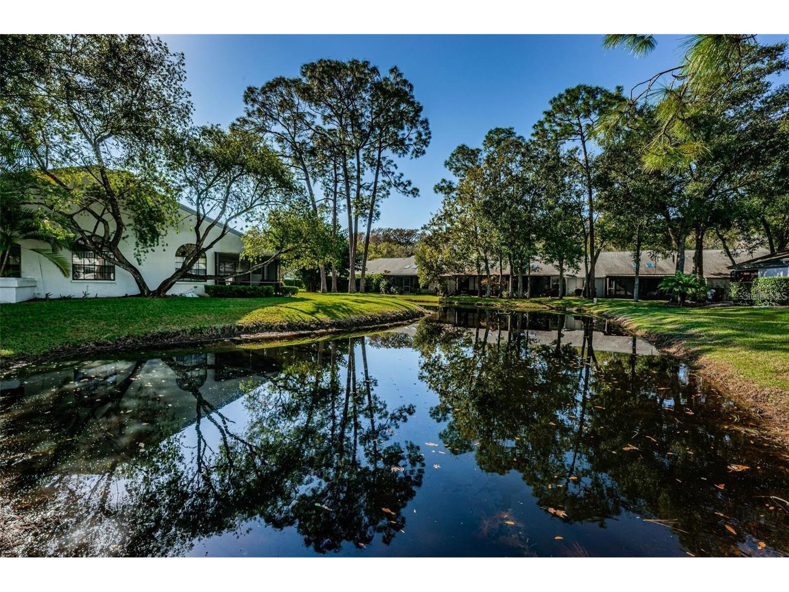 3870 Pheasant Court Palm Harbor FL 34685 TB8468454 image39