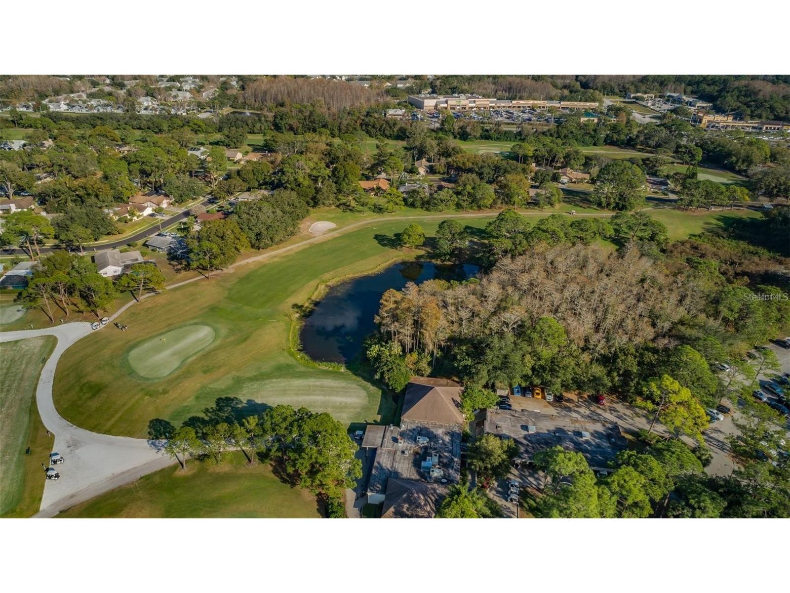 3870 Pheasant Court Palm Harbor FL 34685 TB8468454 image41