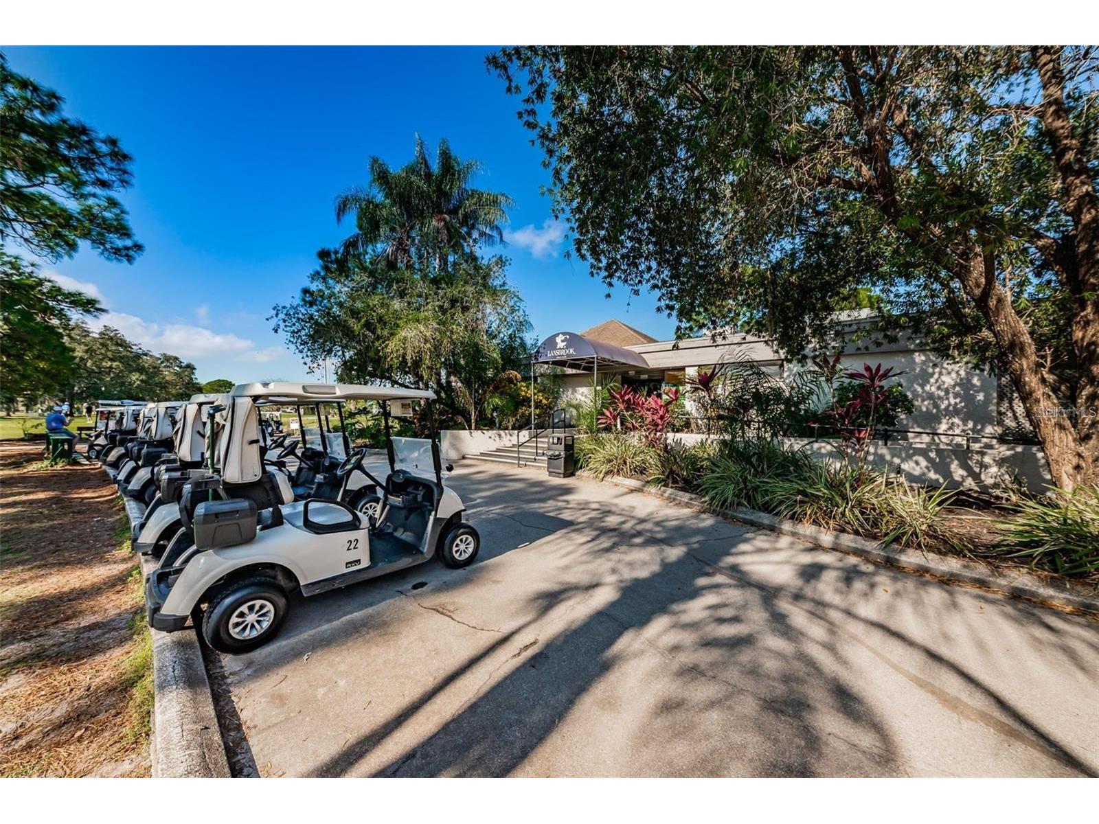 3870 Pheasant Court Palm Harbor FL 34685 TB8468454 image43