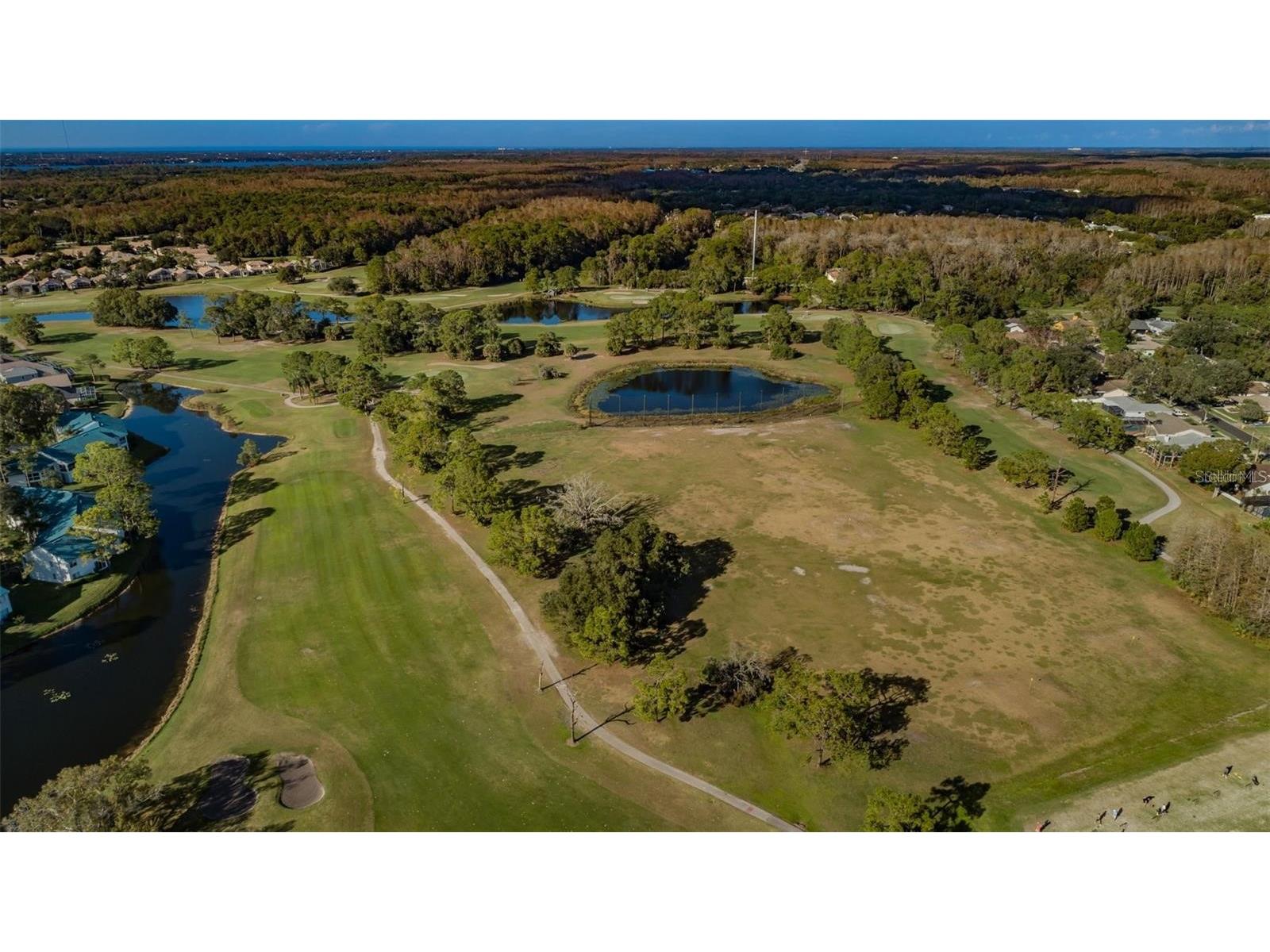 3870 Pheasant Court Palm Harbor FL 34685 TB8468454 image44