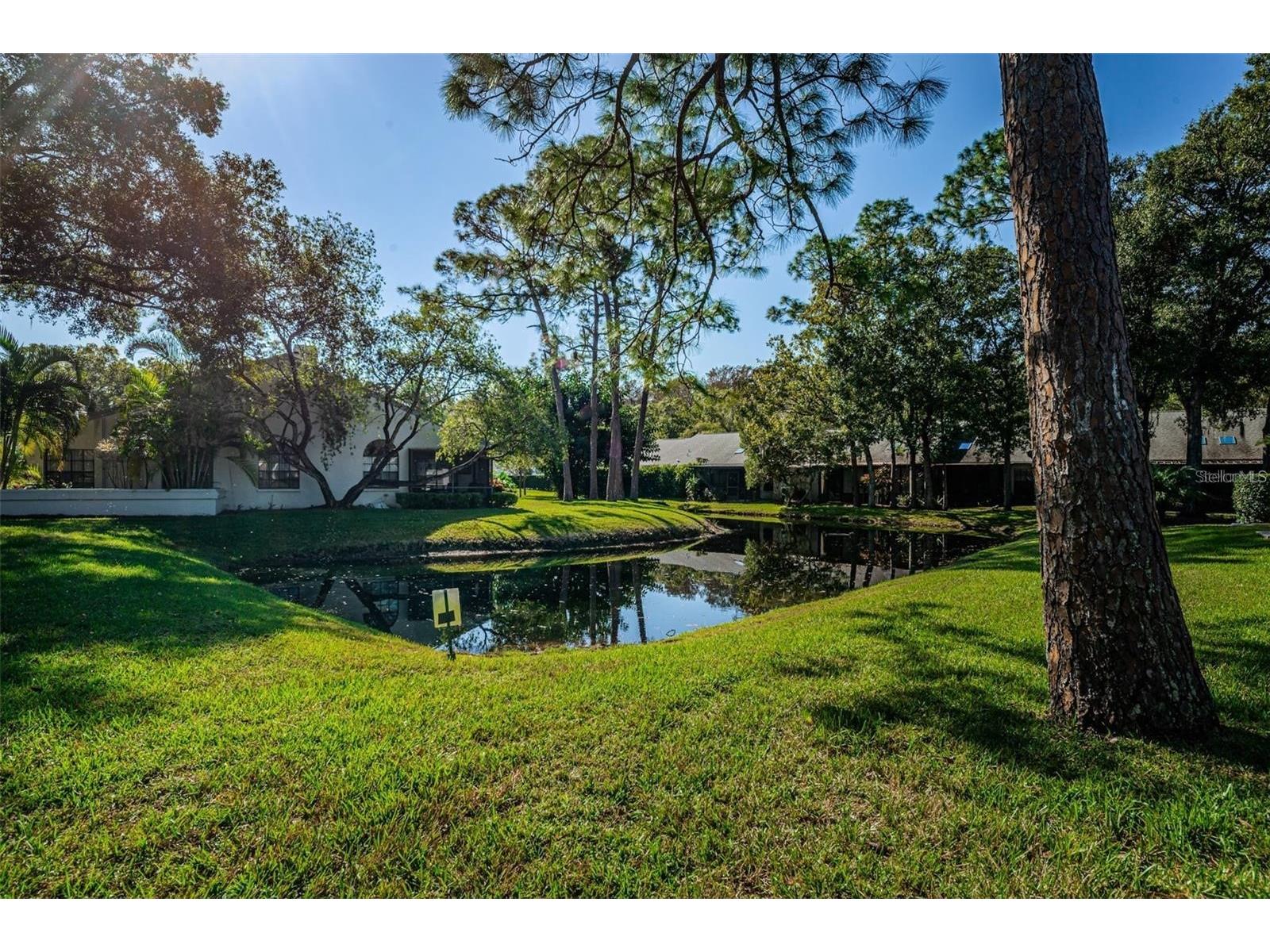 3870 Pheasant Court Palm Harbor FL 34685 TB8468454 image5