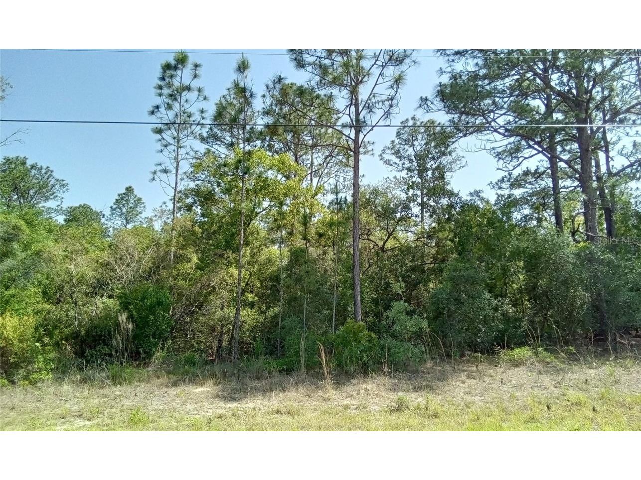 3870 W Fountain Lane Citrus Springs FL 34433 OM679505 image1