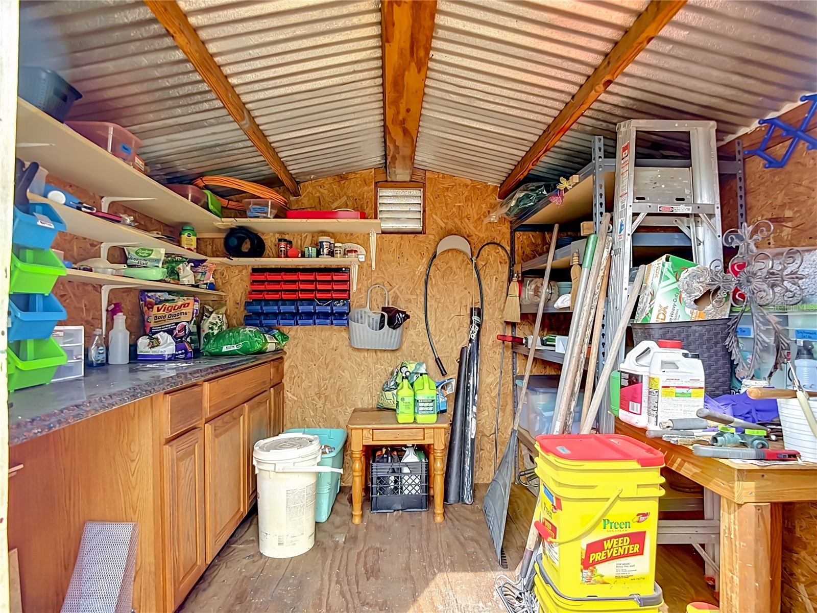 38703 9th Avenue Zephyrhills FL 33542 TB8507140 image54