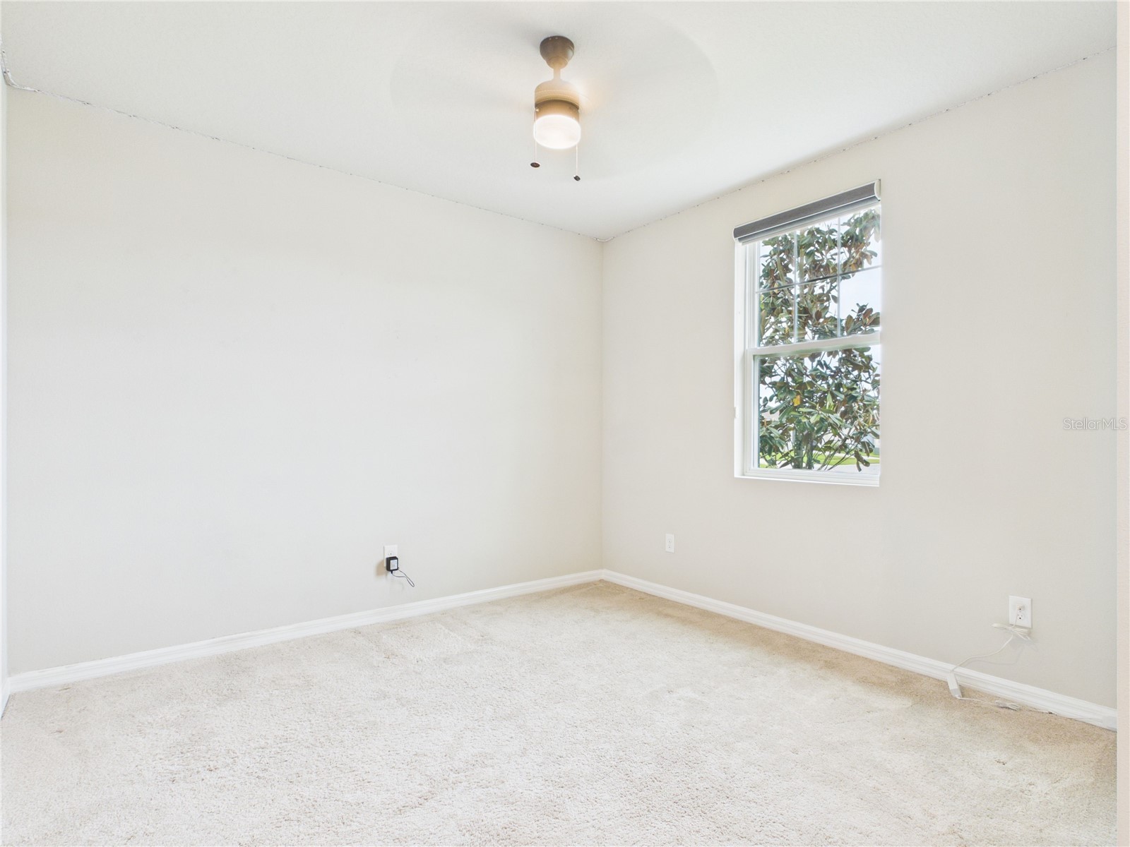 38707 Finn Clover Lane Zephyrhills FL 33540 TB8495662 image10