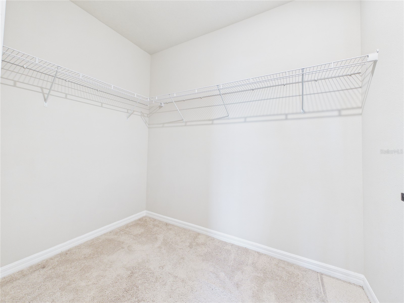 38707 Finn Clover Lane Zephyrhills FL 33540 TB8495662 image13