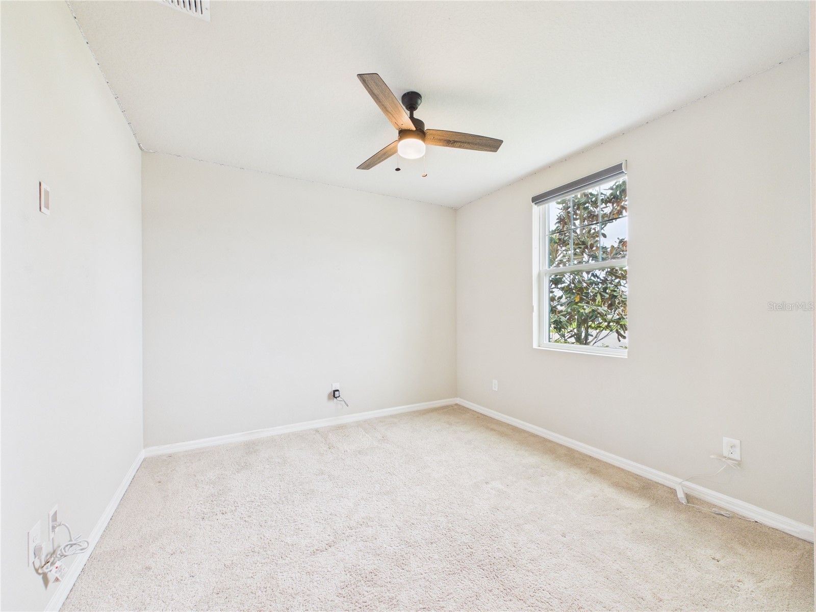 38707 Finn Clover Lane Zephyrhills FL 33540 TB8495662 image21