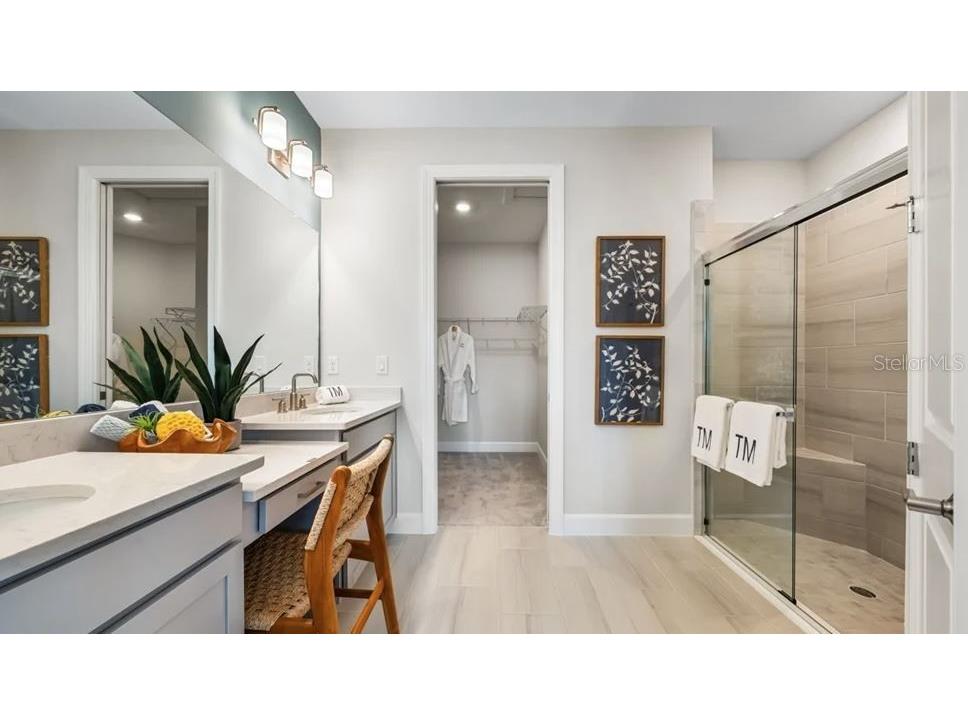 3871 Cavour Court Wesley Chapel FL 33543 TB8439787 image11