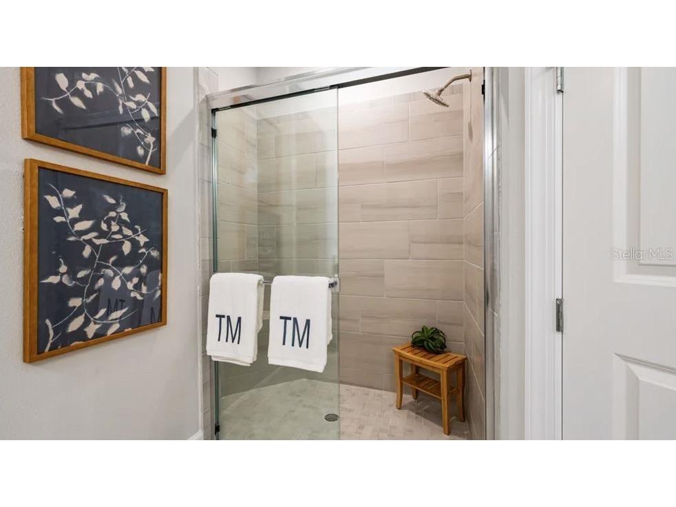 3871 Cavour Court Wesley Chapel FL 33543 TB8439787 image18