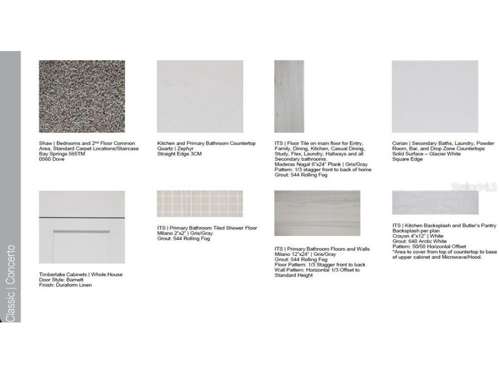 3871 Cavour Court Wesley Chapel FL 33543 TB8439787 image6