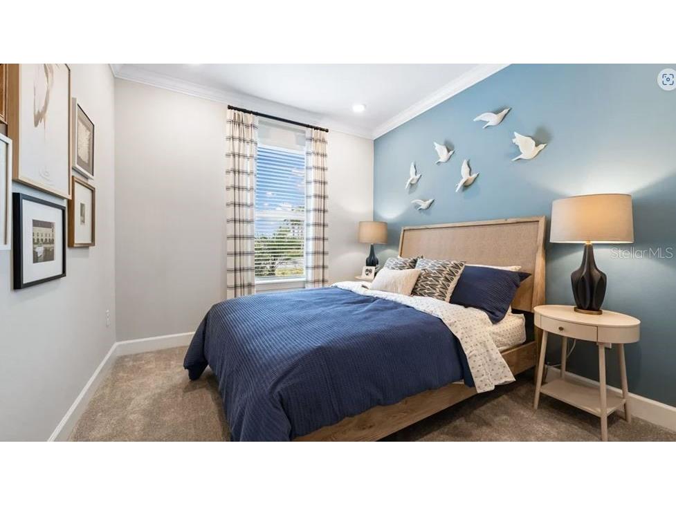 3871 Cavour Court Wesley Chapel FL 33543 TB8439787 image9