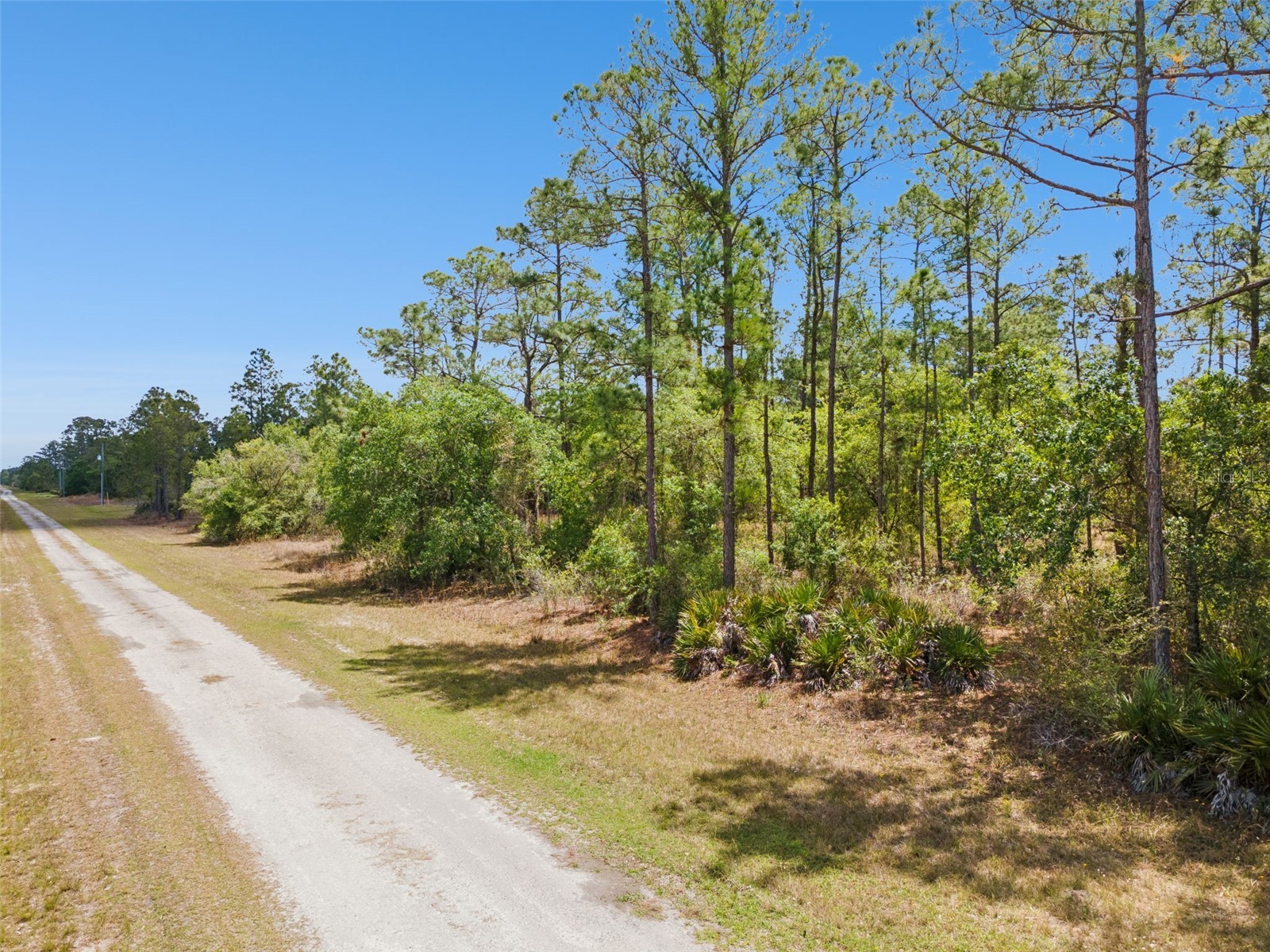 3871 Gallardia Drive Indian Lake Estates FL 33855 O6397390 image7