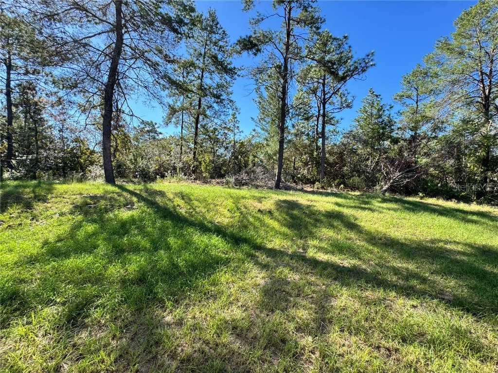 3872 W Baton Lane Citrus Springs FL 34433 O6353520 image38