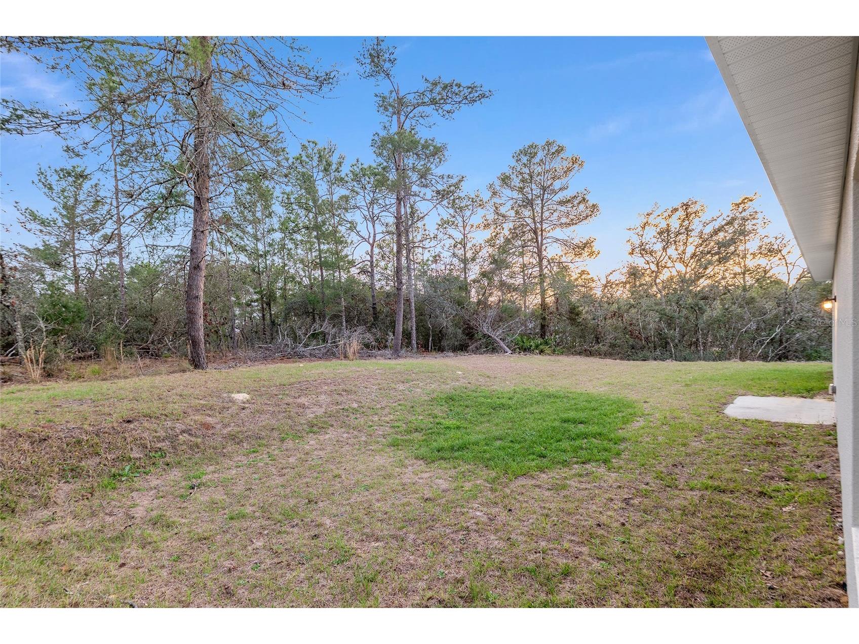 3872 W Baton Lane Citrus Springs FL 34433 OM720058 image35