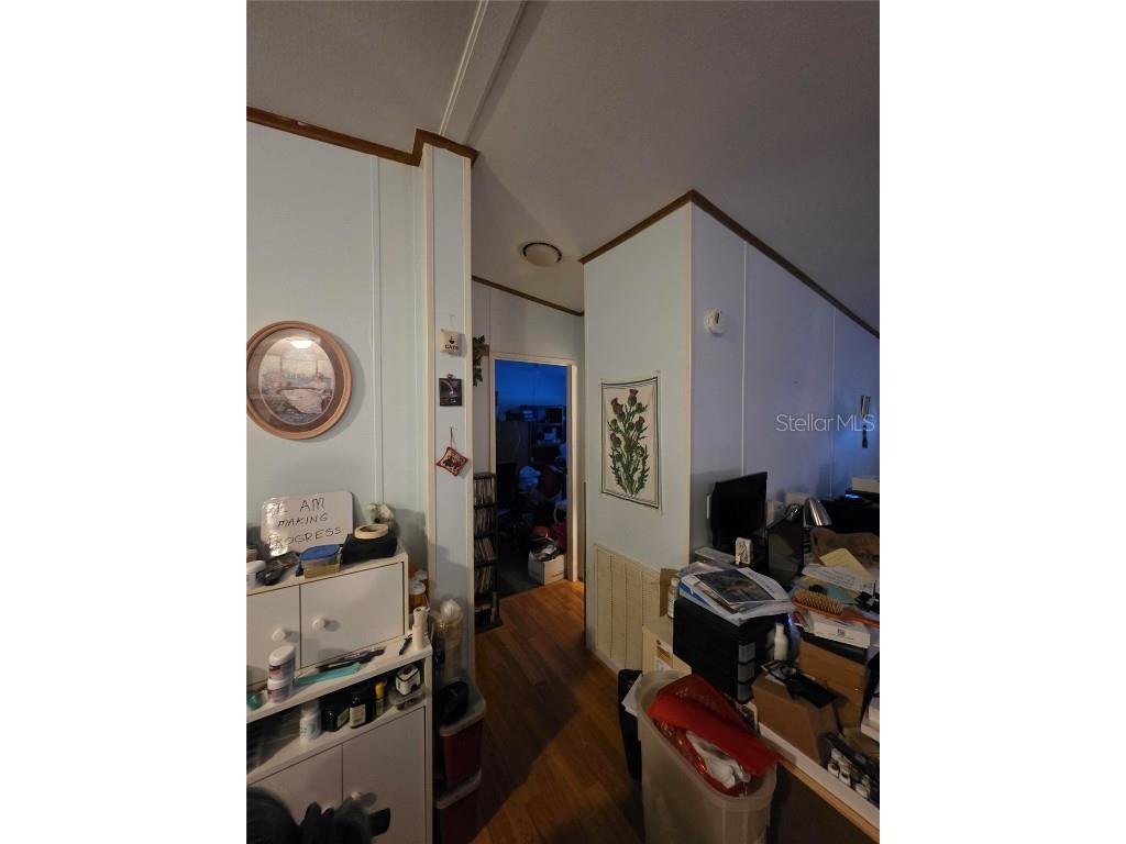 38720 Granger Lane Zephyrhills FL 33542 O6359039 image10