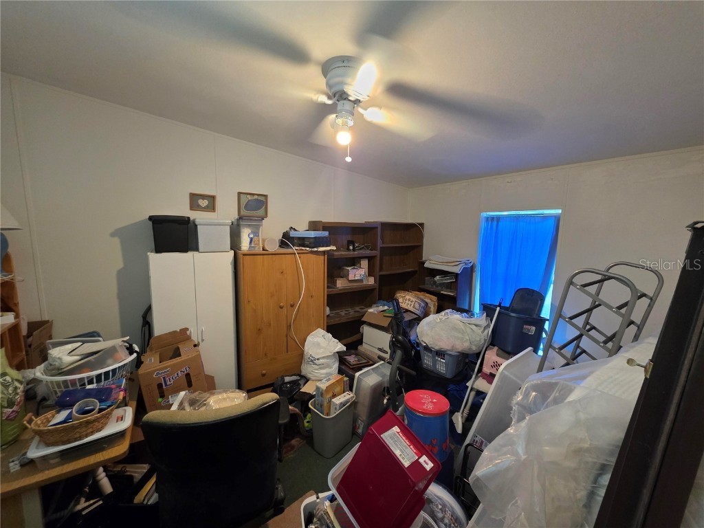 38720 Granger Lane Zephyrhills FL 33542 O6359039 image12