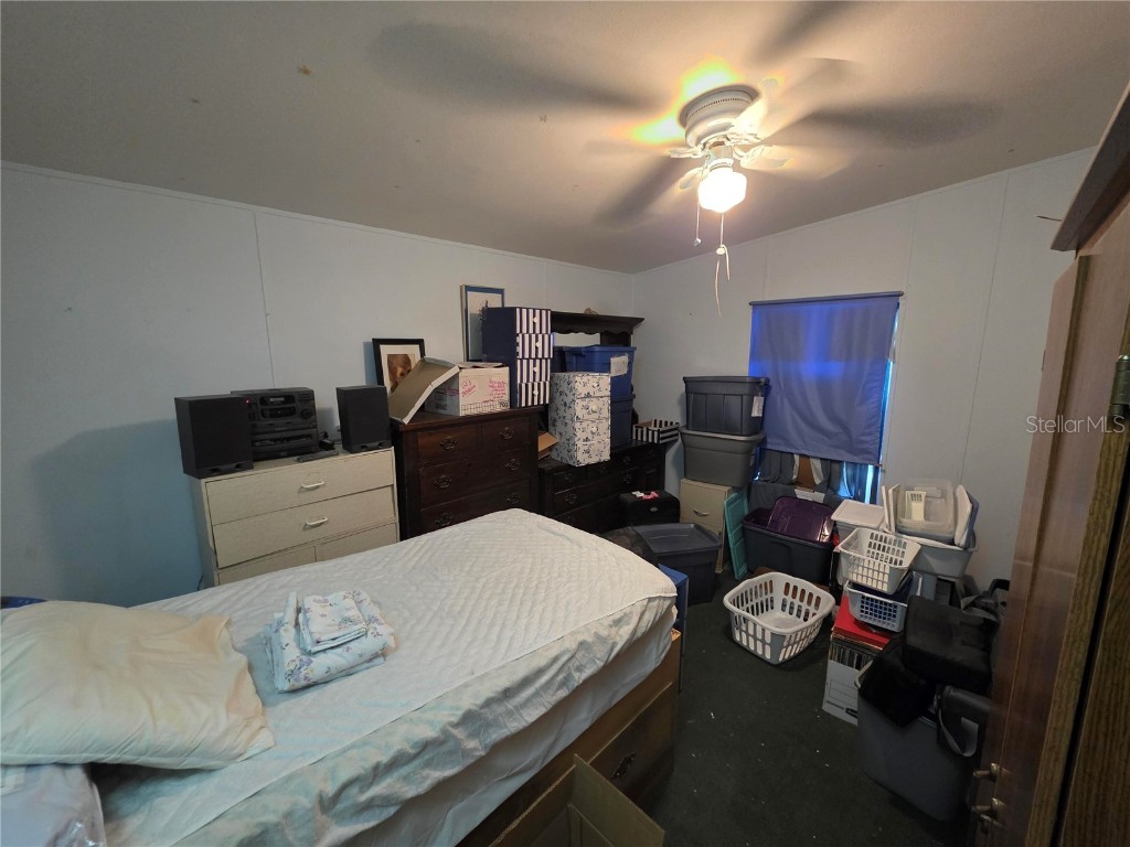 38720 Granger Lane Zephyrhills FL 33542 O6359039 image8