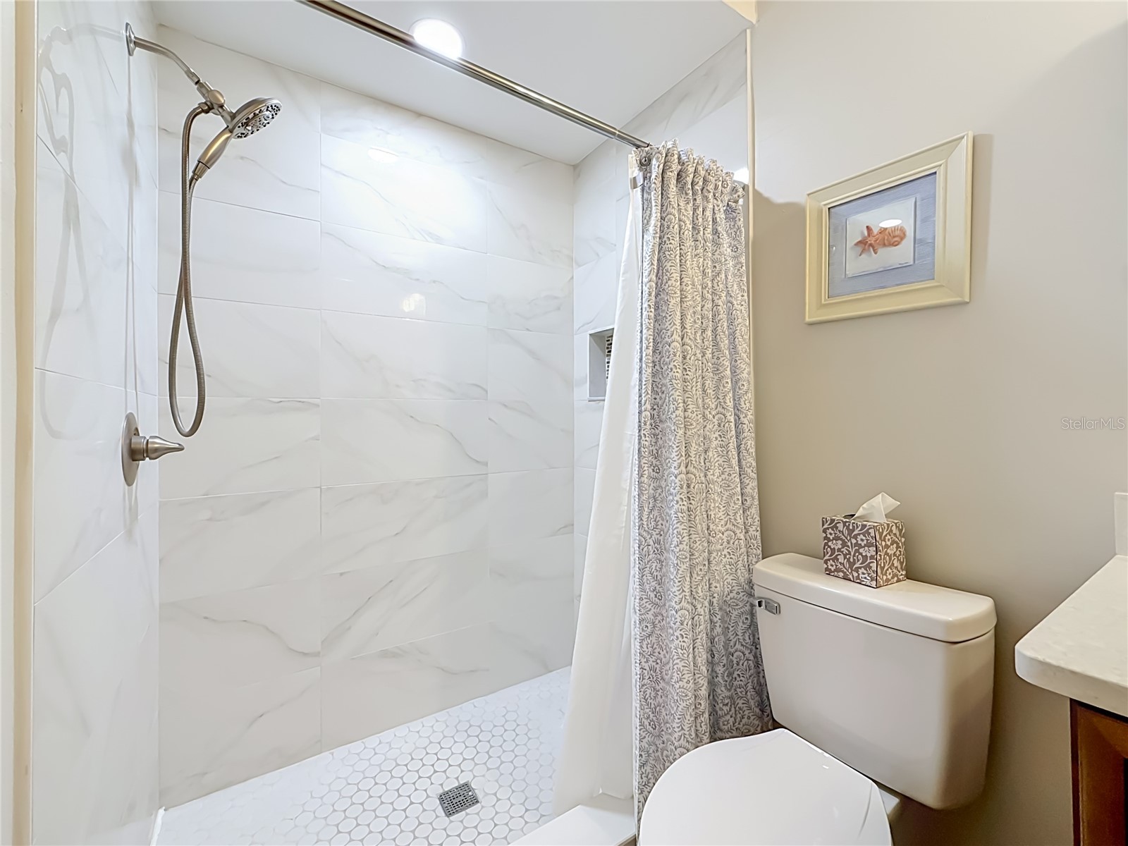 3873 Pheasant Court Palm Harbor FL 34685 TB8526754 image21