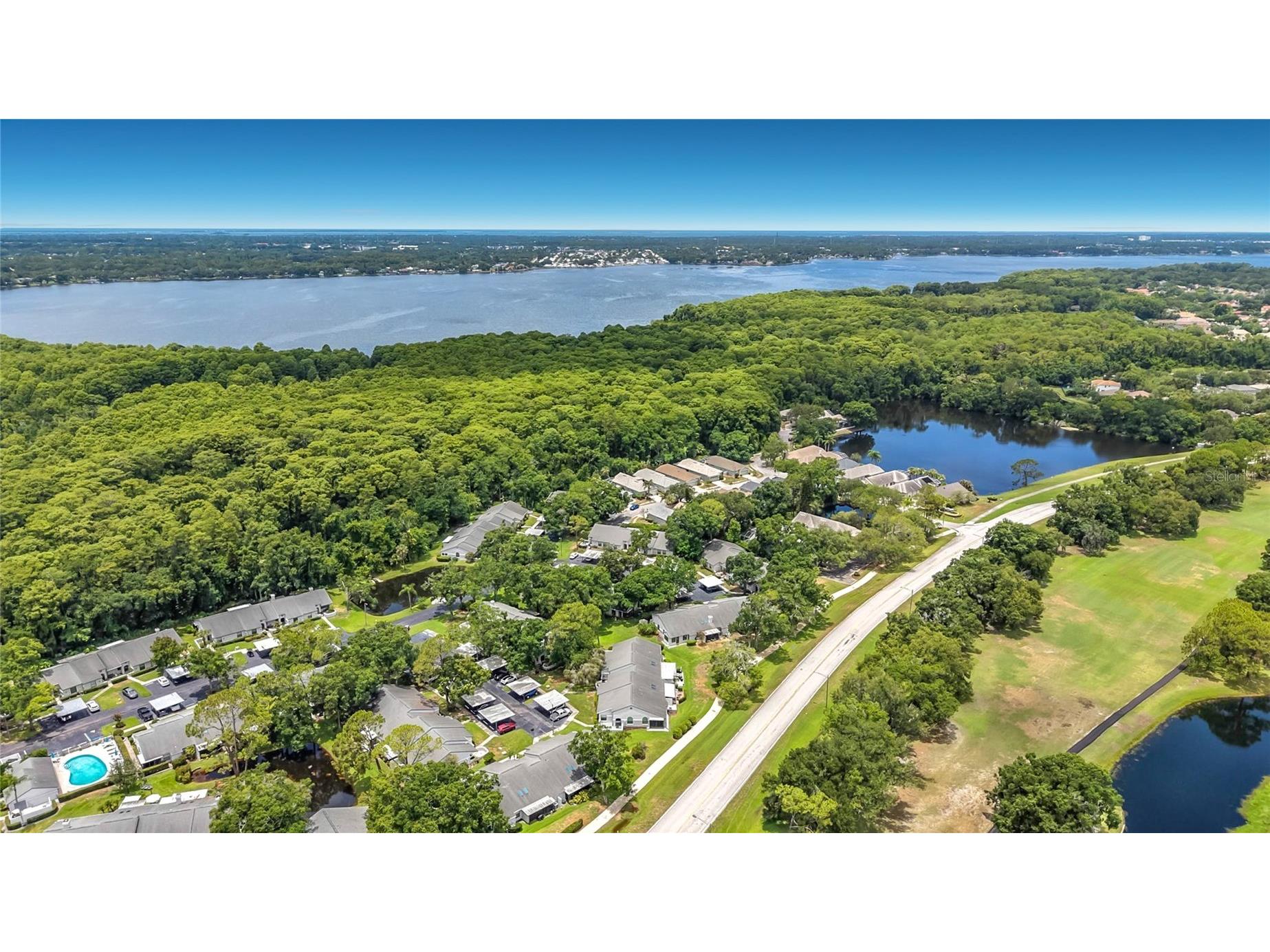 3873 Pheasant Court Palm Harbor FL 34685 TB8526754 image35