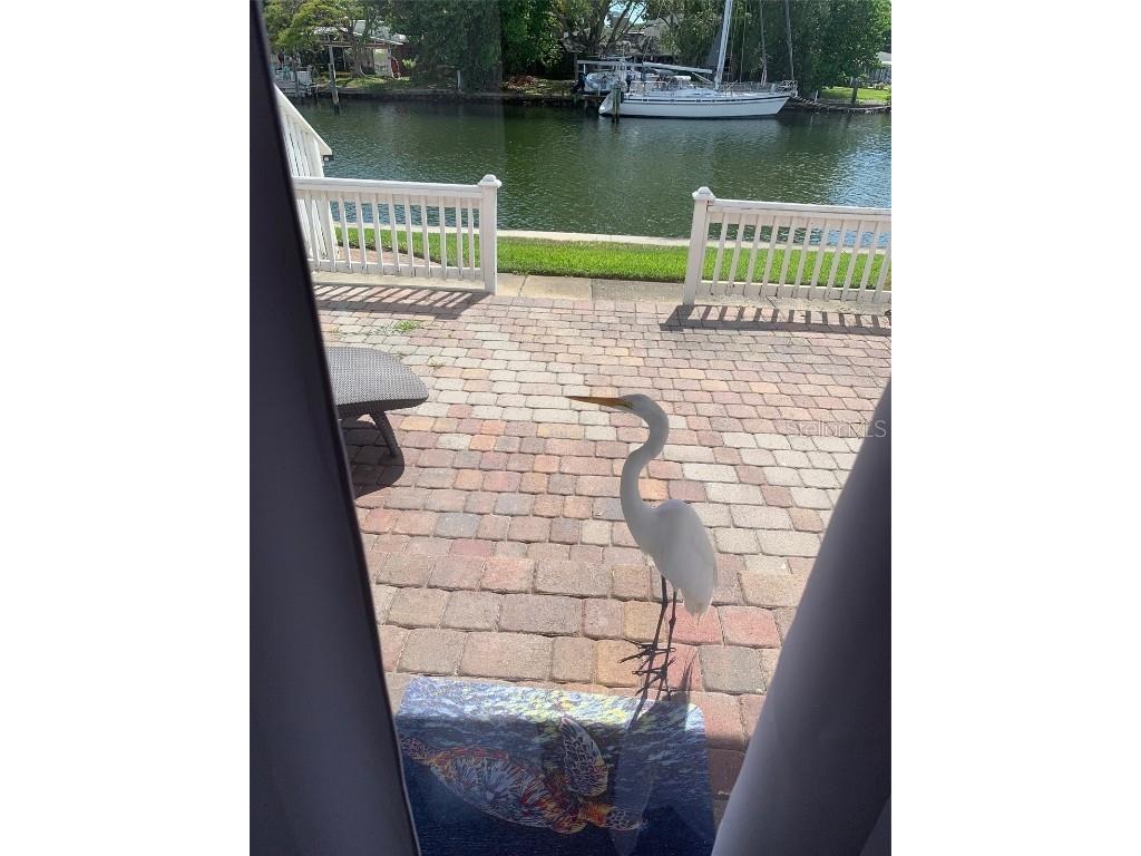 3873 Pompano Drive SE #B Saint Petersburg FL 33705 - BIG BAYOU L4936048 image1