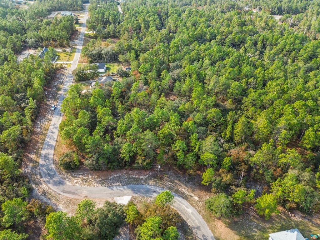 3873 W Findlay Street Citrus Springs FL 34433 OM714102 image10