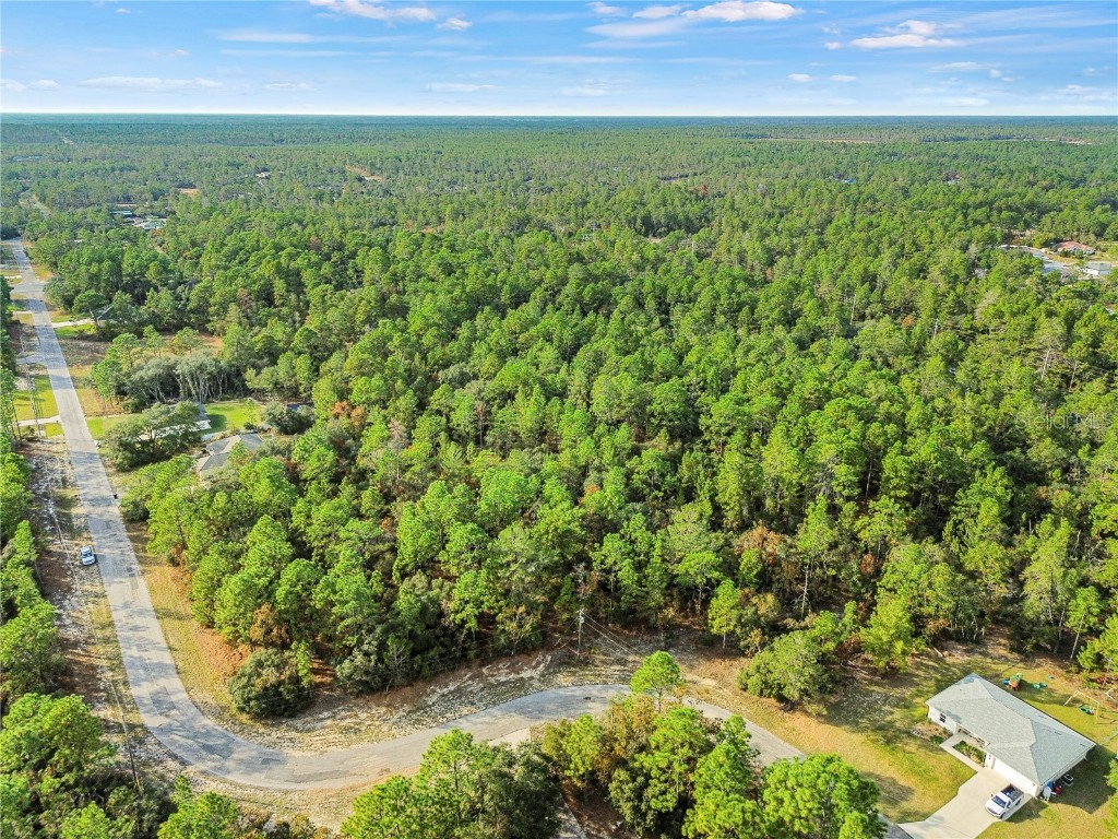 3873 W Findlay Street Citrus Springs FL 34433 OM714102 image11