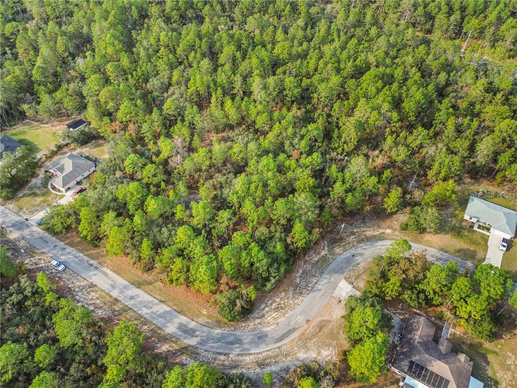 3873 W Findlay Street Citrus Springs FL 34433 OM714102 image12