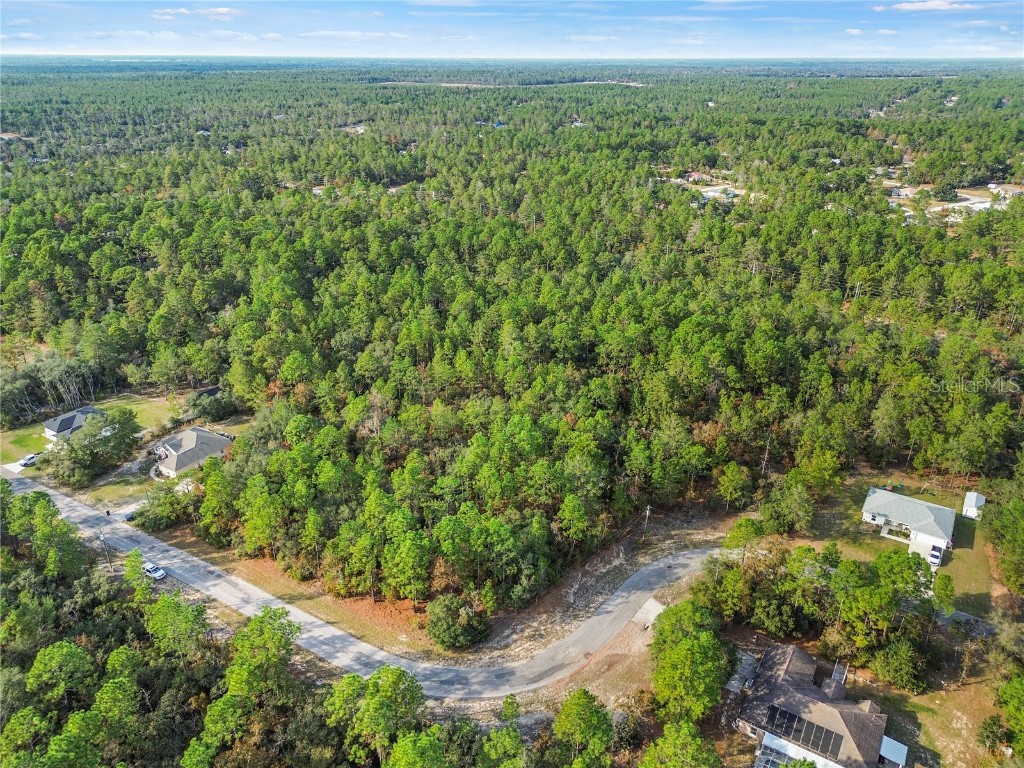 3873 W Findlay Street Citrus Springs FL 34433 OM714102 image13