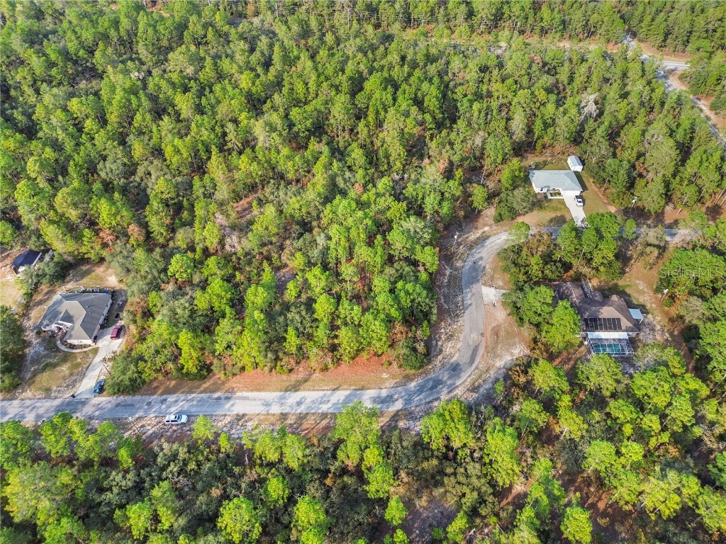 3873 W Findlay Street Citrus Springs FL 34433 OM714102 image14