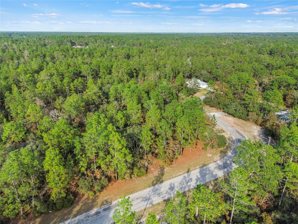 3873 W Findlay Street Citrus Springs FL 34433 OM714102 image15