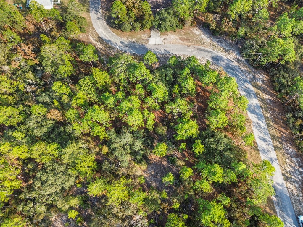 3873 W Findlay Street Citrus Springs FL 34433 OM714102 image16