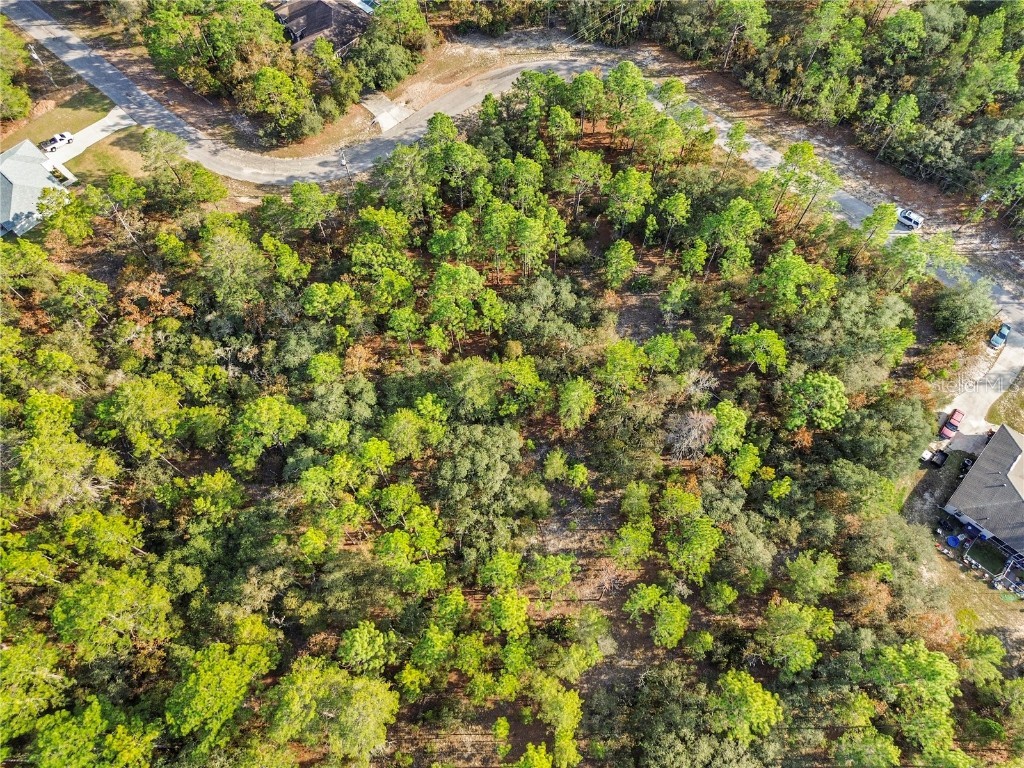 3873 W Findlay Street Citrus Springs FL 34433 OM714102 image17