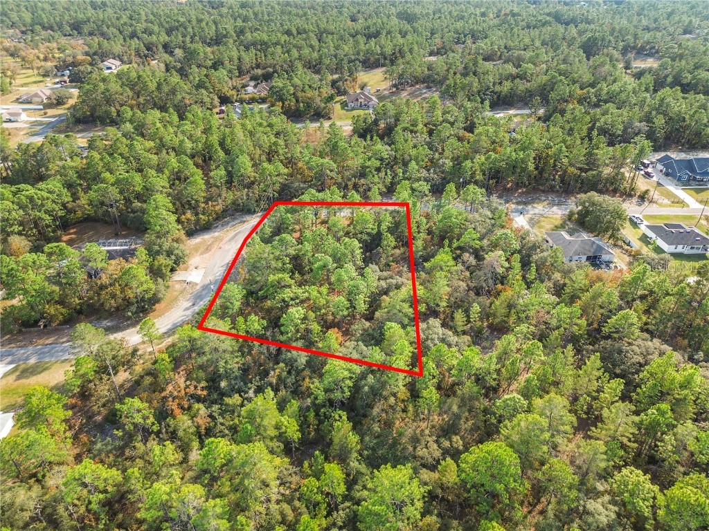 3873 W Findlay Street Citrus Springs FL 34433 OM714102 image19