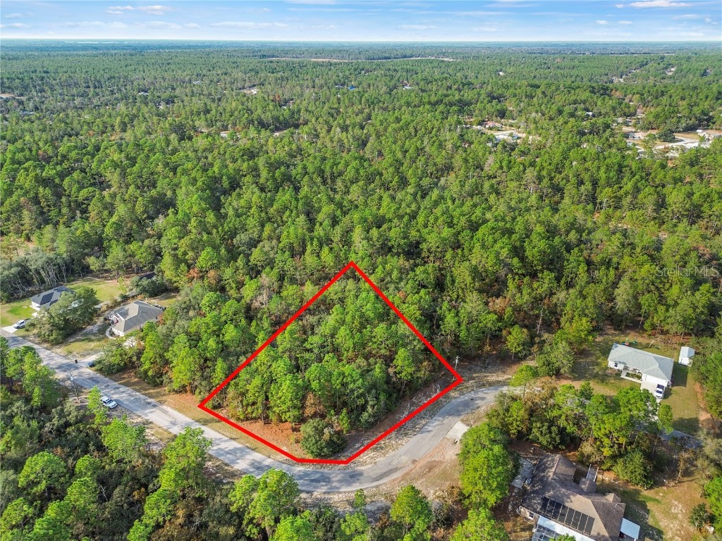 3873 W Findlay Street Citrus Springs FL 34433 OM714102 image2