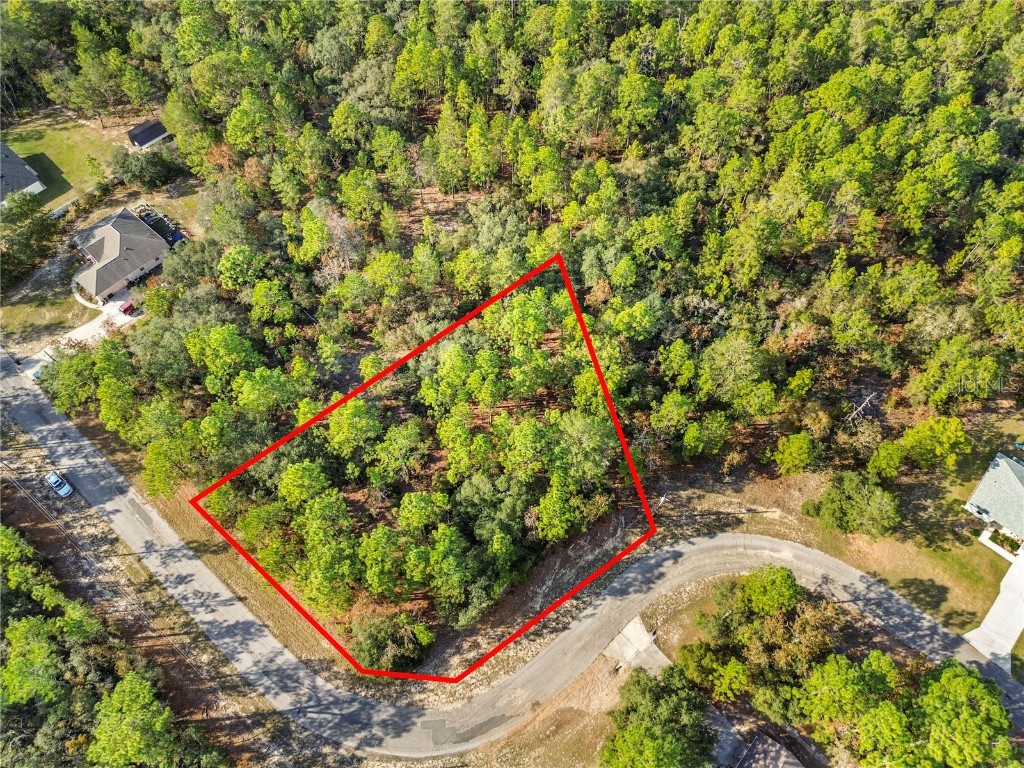 3873 W Findlay Street Citrus Springs FL 34433 OM714102 image3