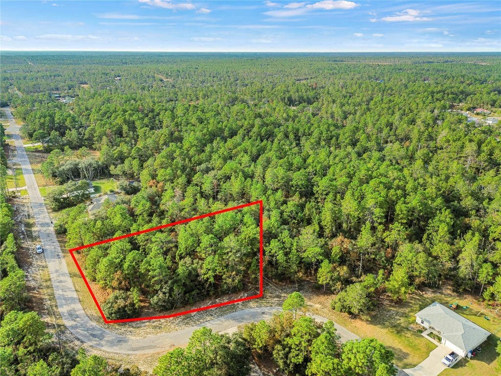 3873 W Findlay Street Citrus Springs FL 34433 OM714102 image5