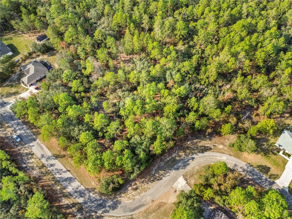 3873 W Findlay Street Citrus Springs FL 34433 OM714102 image6