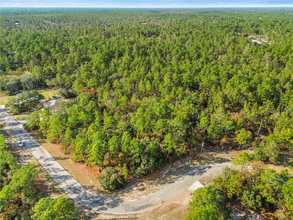 3873 W Findlay Street Citrus Springs FL 34433 OM714102 image7