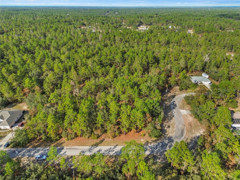 3873 W Findlay Street Citrus Springs FL 34433 OM714102 image8