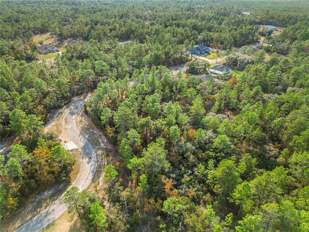 3873 W Findlay Street Citrus Springs FL 34433 OM714102 image9