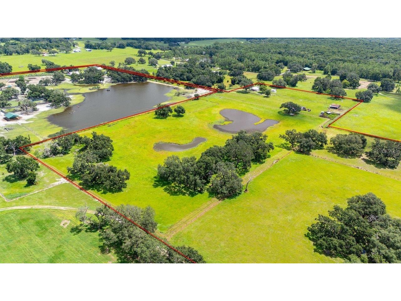 38730 Mickler Road Dade City FL 33523 TB8415621 image34