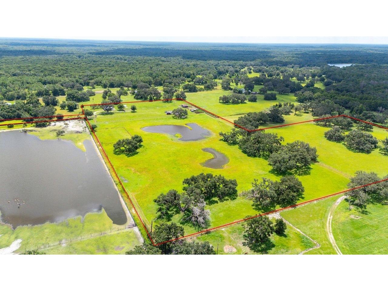 38730 Mickler Road Dade City FL 33523 TB8415621 image35
