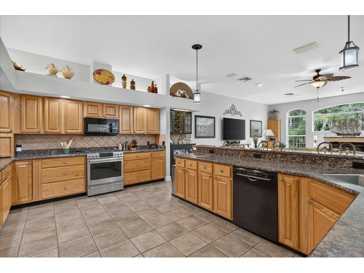 3874 Crescent Cove Place Tarpon Springs FL 34688 TB8528562 image10