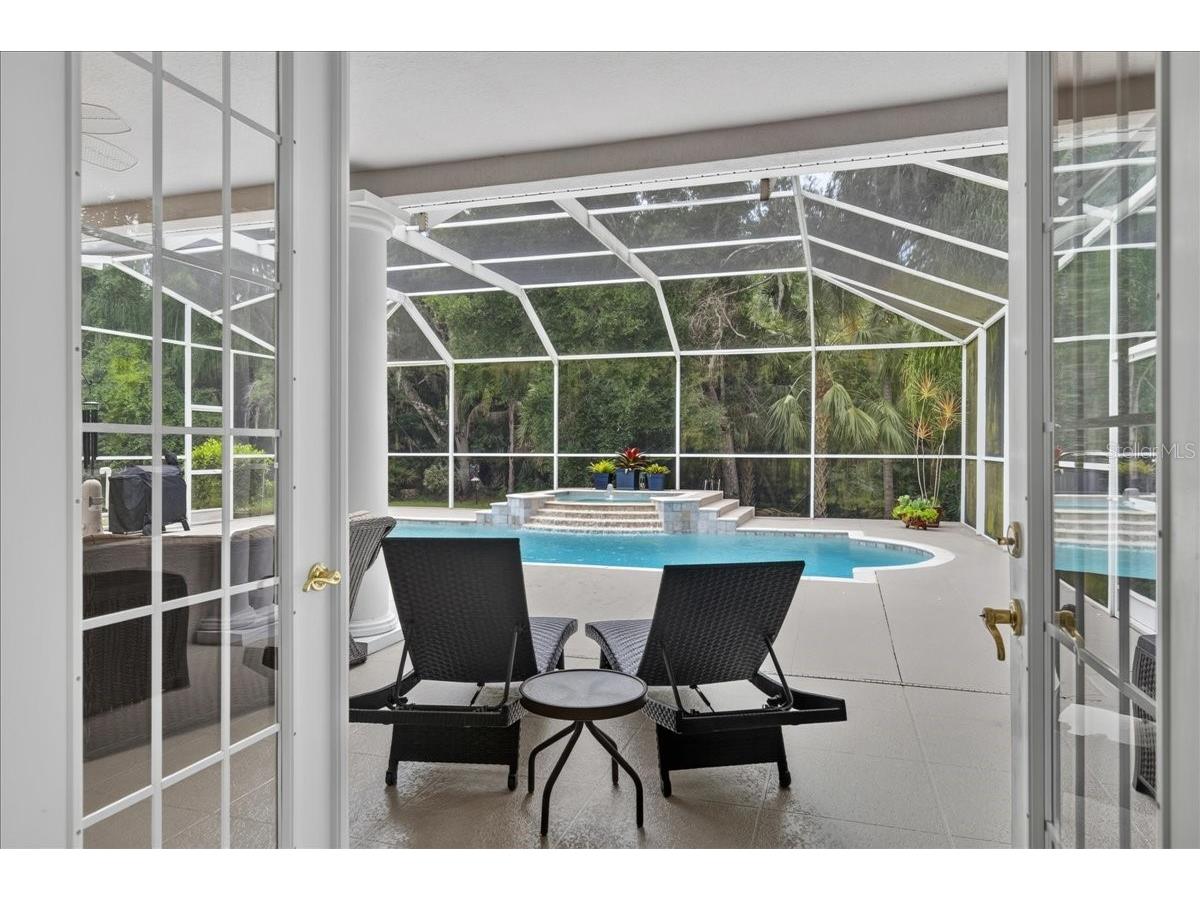 3874 Crescent Cove Place Tarpon Springs FL 34688 TB8528562 image27