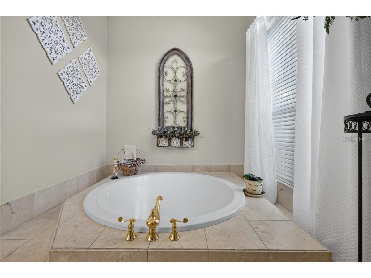 3874 Crescent Cove Place Tarpon Springs FL 34688 TB8528562 image32