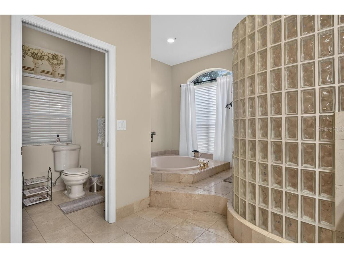 3874 Crescent Cove Place Tarpon Springs FL 34688 TB8528562 image33