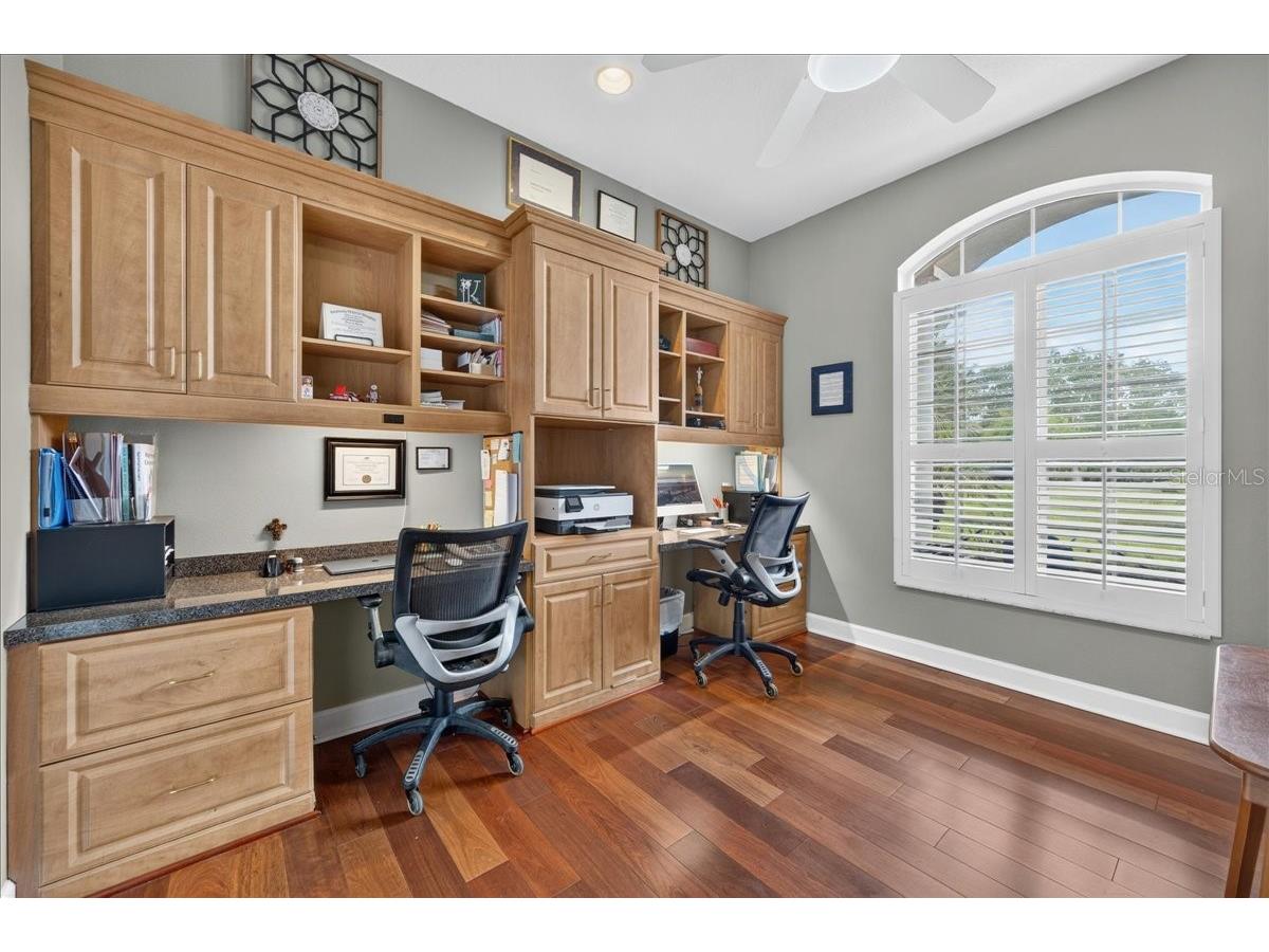 3874 Crescent Cove Place Tarpon Springs FL 34688 TB8528562 image38